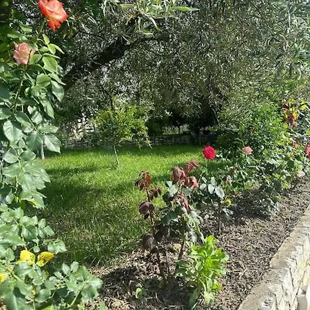 וילה House *